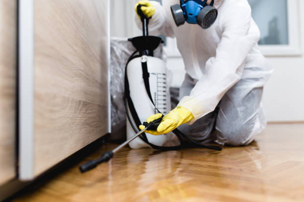 Pest Prevention Services in Fayette, IA