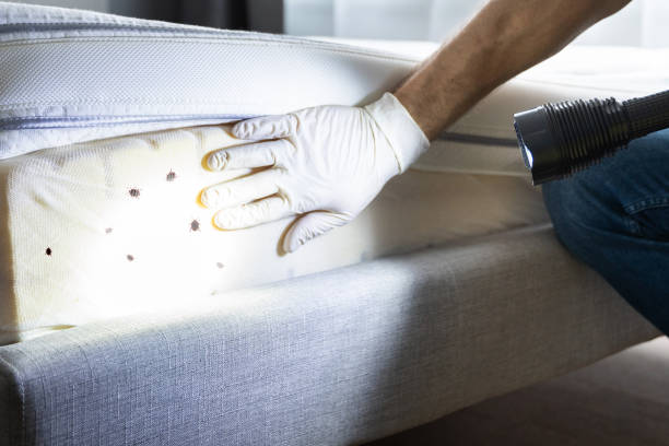Pest Control for Restaurants in Fayette, IA
