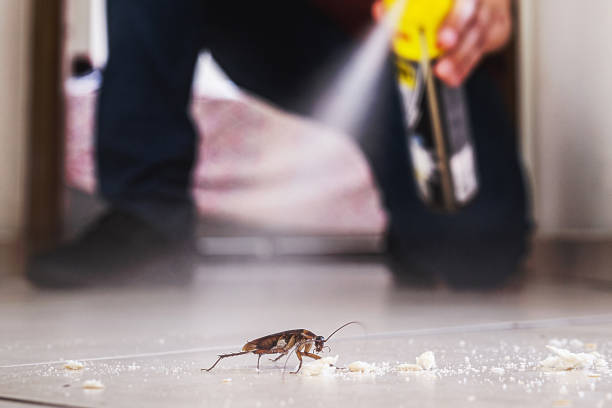 Best Pest Prevention Services  in Fayette, IA