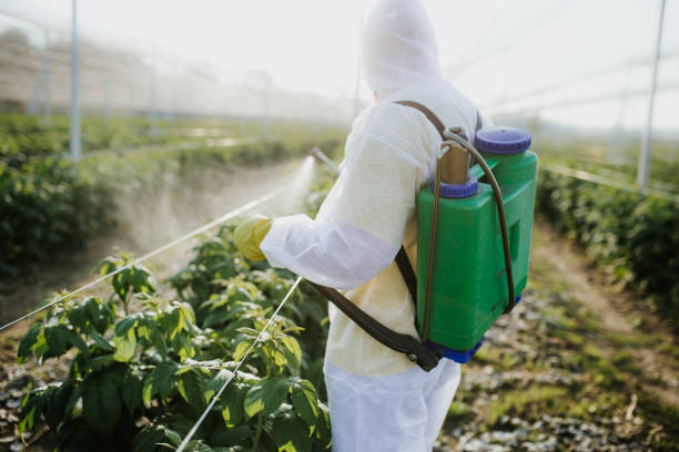 Best Affordable Pest Control Services  in Fayette, IA